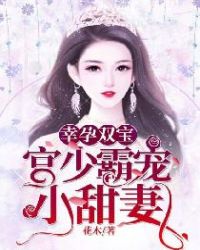 幸孕双宝宫少霸宠小甜妻