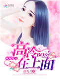 麻辣甜妻高冷BOSS在上面