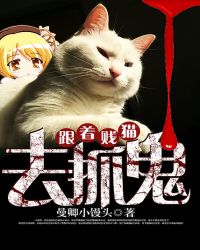 跟着贱猫去抓鬼